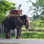 Nashik