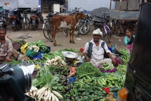 DSC07736marché à bahvnag