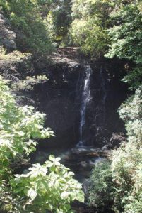 elephant falls