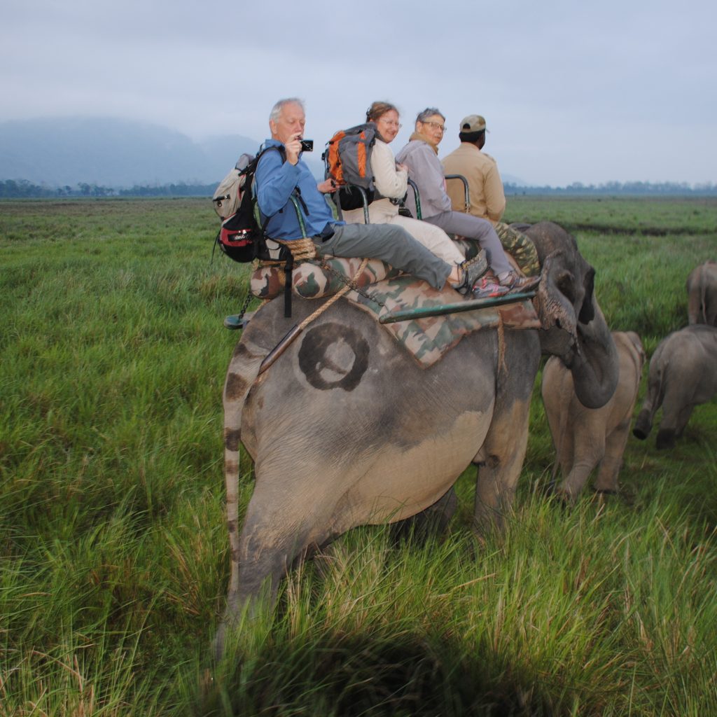 Safari à dos d'éléphant