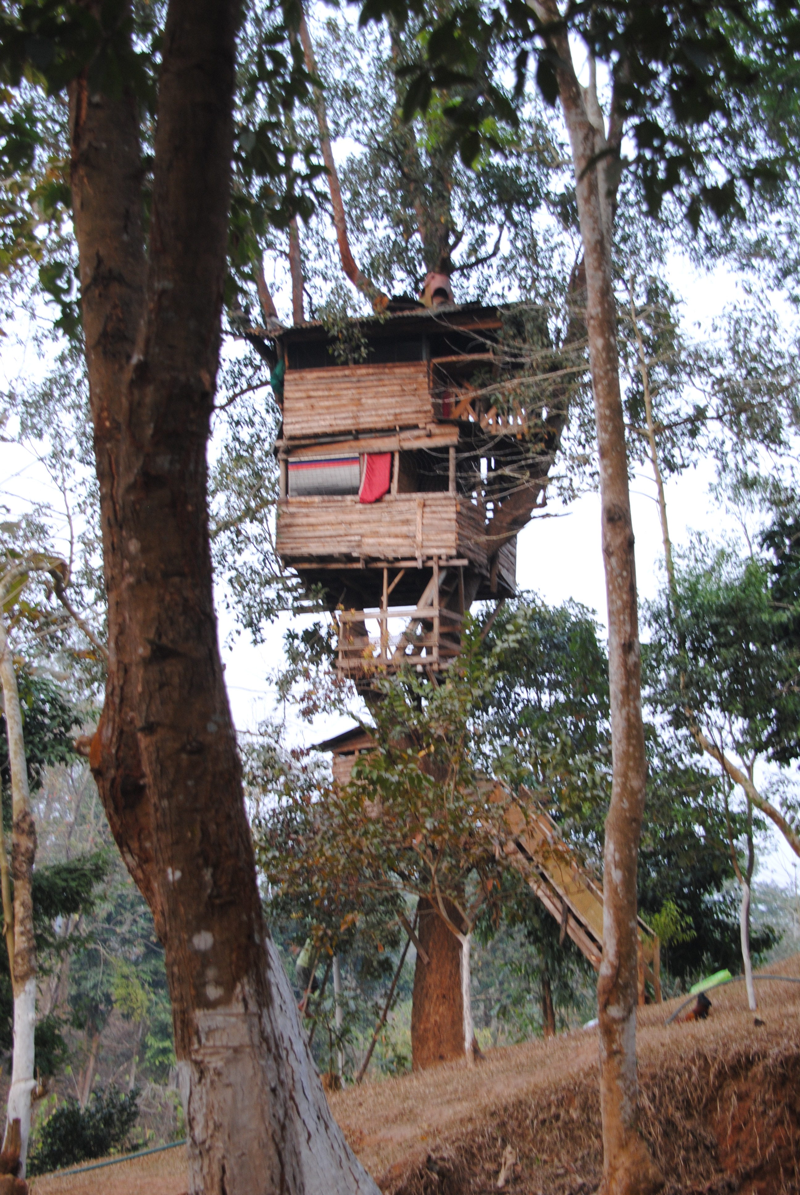 DSC_0784 – Perspectives Asiennes