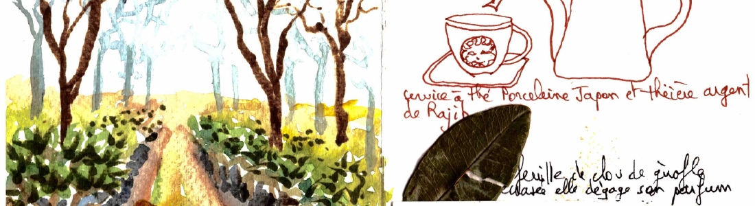 10-inde-croquis-2017-15
